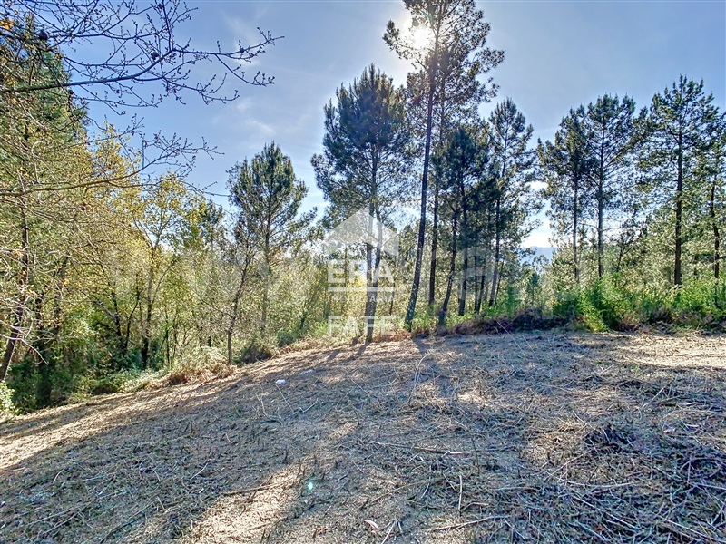 Terreno para Construção  Fafe, Revelhe - 1314922 - 14