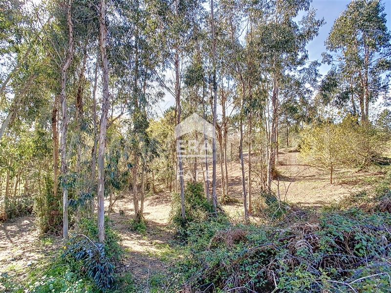 Terreno para Construção  Fafe, Revelhe - 1314922 - 15