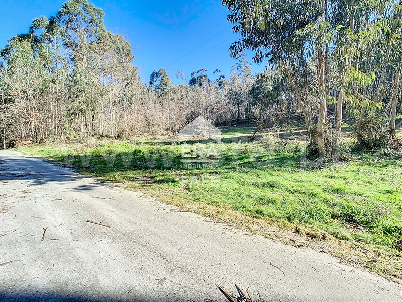 Terreno para Construção  Fafe, Revelhe - 1449242 - 6