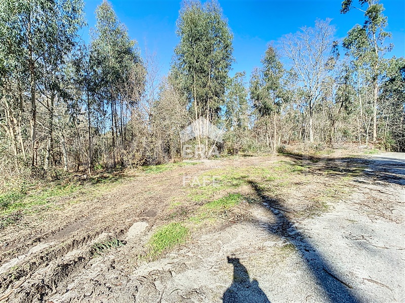 Terreno para Construção  Fafe, Revelhe - 1449242 - 7