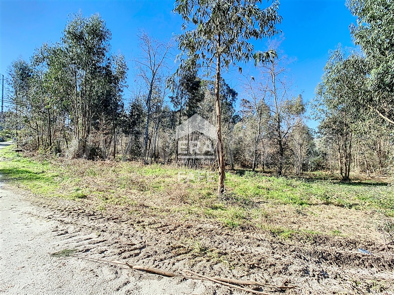 Terreno para Construção  Fafe, Revelhe - 1449242 - 8