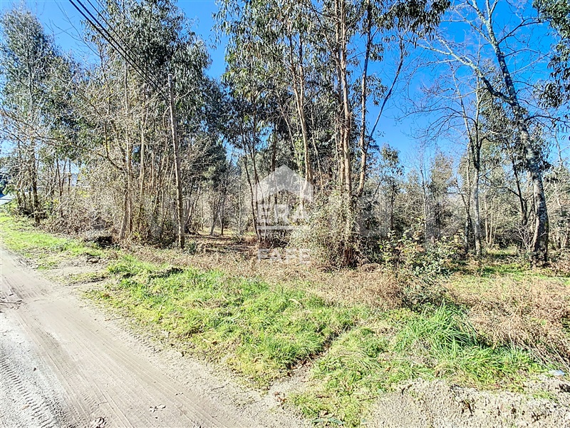 Terreno para Construção  Fafe, Revelhe - 1449242 - 9