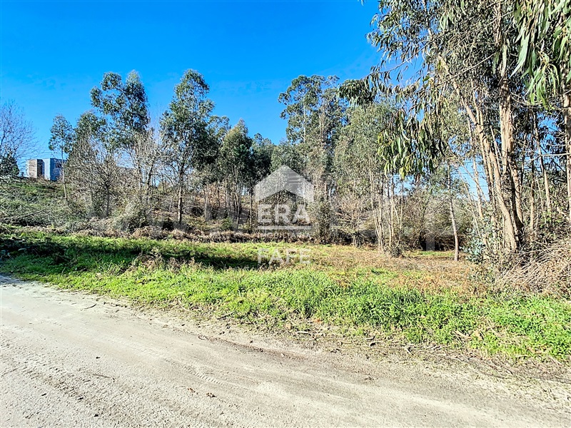 Terreno para Construção / Fafe, Revelhe