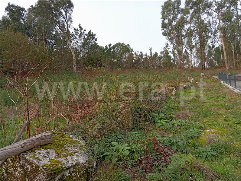 Terreno para Construção / Fafe, Ribeiros