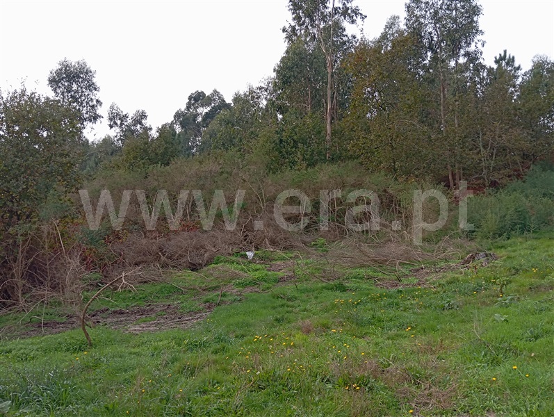 Terreno para Construção  Fafe, Ribeiros - 1449178 - 31