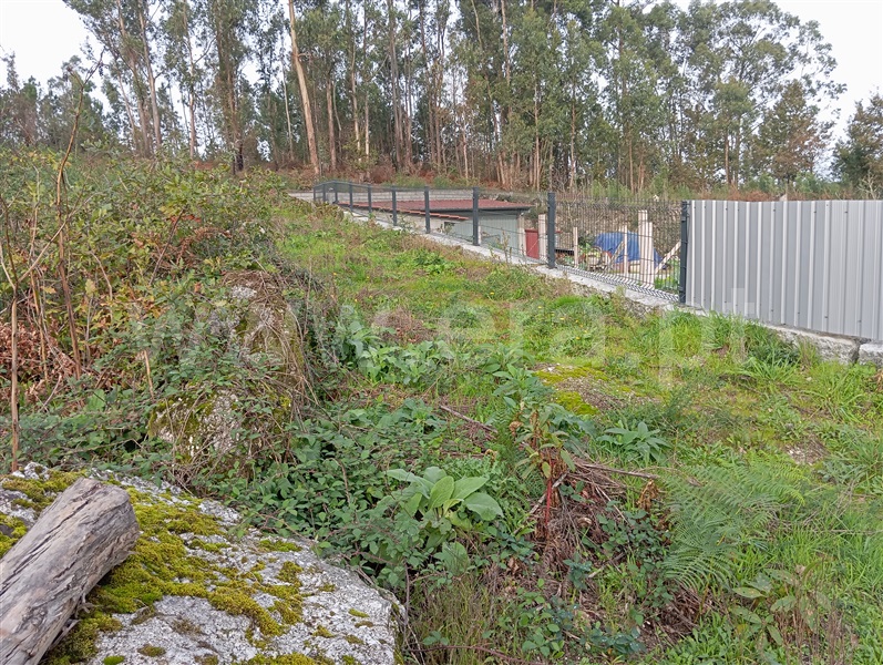 Terreno para Construção  Fafe, Ribeiros - 1449178 - 35