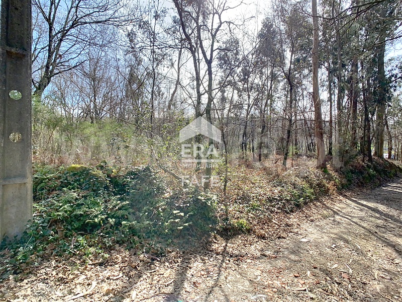 Terreno para Construção  Fafe, São Gens - 1464062 - 4