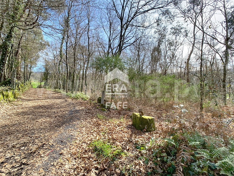 Terreno para Construção  Fafe, São Gens - 1464062 - 5