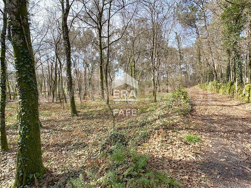 Terreno para Construção  Fafe, São Gens - 1464062 - 6