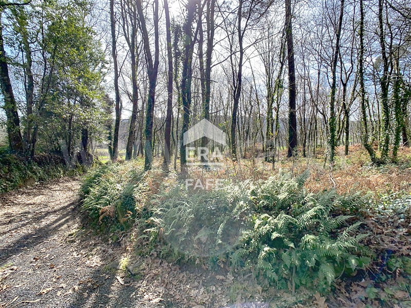 Terreno para Construção  Fafe, São Gens - 1464062 - 7