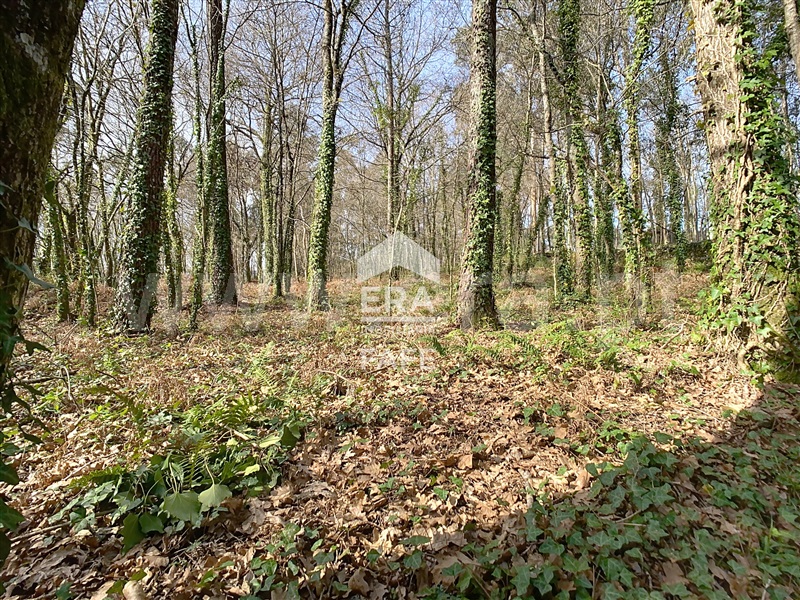 Terreno para Construção  Fafe, São Gens - 1464062 - 9