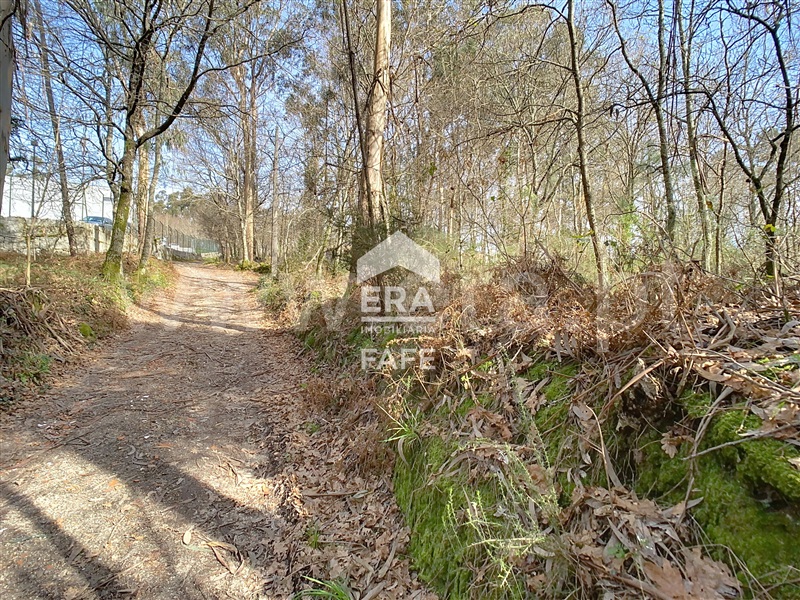 Terreno para Construção  Fafe, São Gens - 1464062 - 11