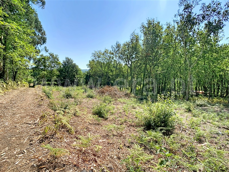 Terreno para Construção / Fafe, São Gens