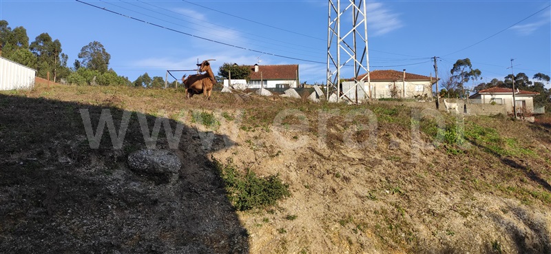Terreno para Construção / Fafe, Silvares (São Martinho)