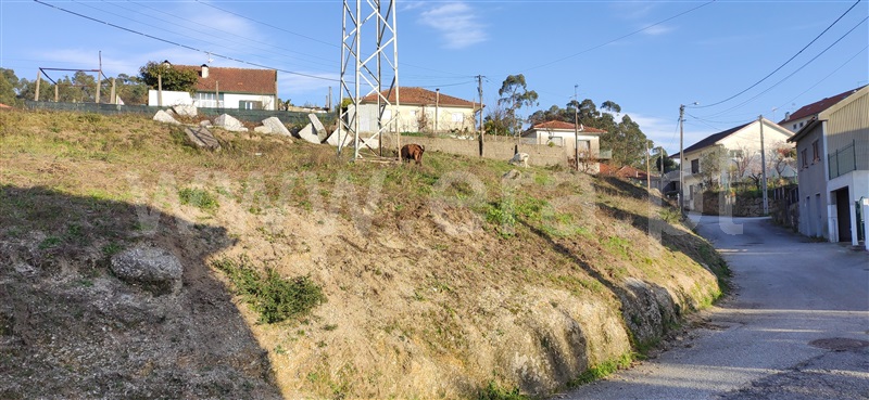 Terreno  Fafe, Silvares (São Martinho) - 1234582 - 9