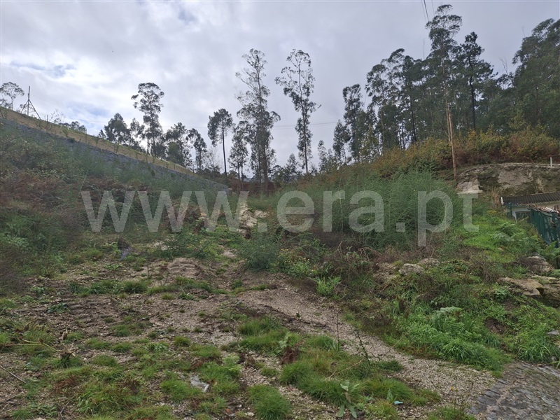 Terreno para Construção / Fafe, Silvares (São Martinho)