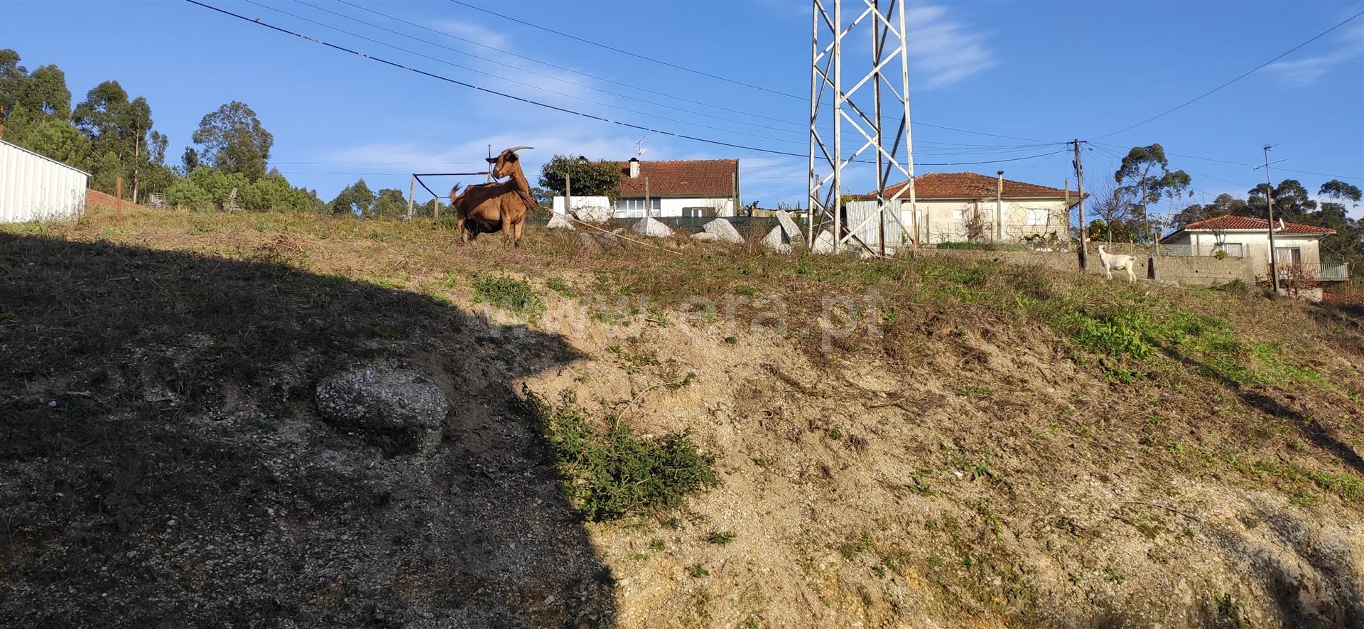 Land for sale in Fafe, Portugal — €60,000