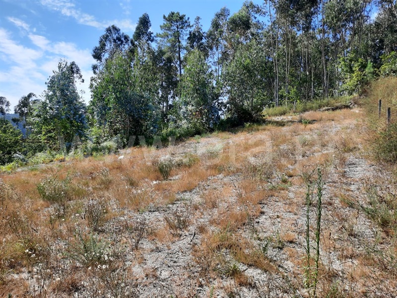Terreno para Construção / Fafe, Travassós