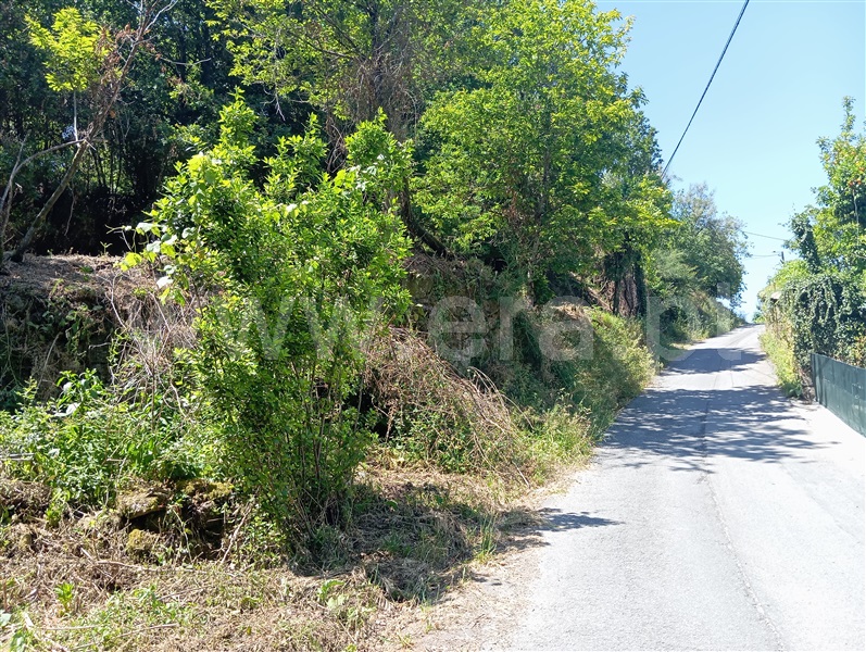 Terreno para Construção  Fafe, Travassós - 1410891 - 4