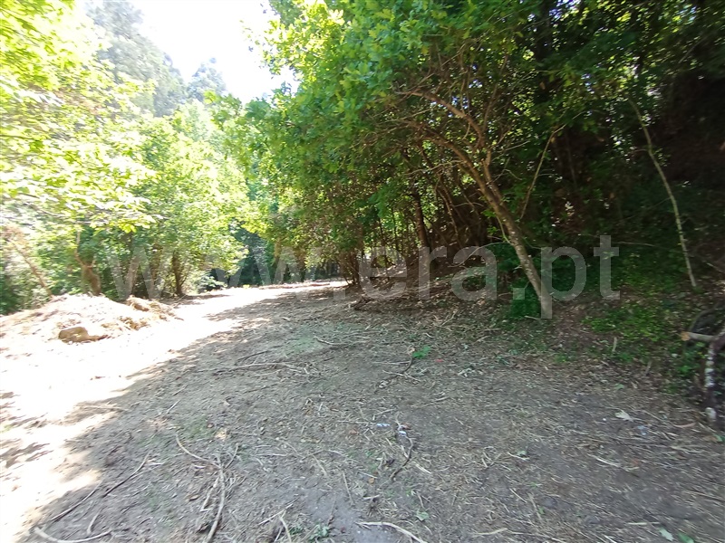 Terreno para Construção  Fafe, Travassós - 1410891 - 15