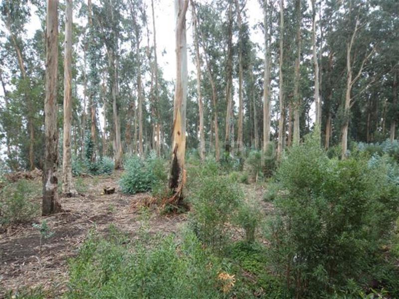 Terreno para Construção  Fafe, Travassós - 593819 - 2