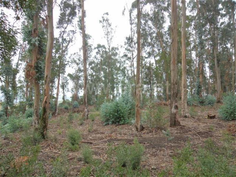 Terreno para Construção  Fafe, Travassós - 593819 - 3