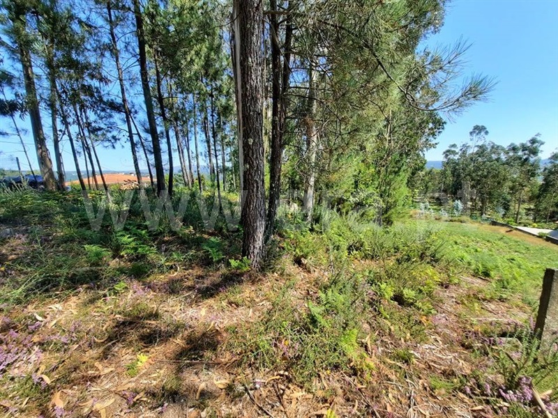 Terreno para Construção  Fafe, Vinhós - 1191364 - 1