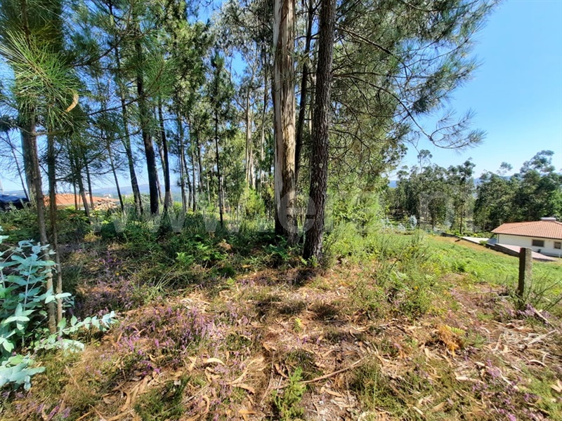 Terreno para Construção  Fafe, Vinhós - 1191364 - 3