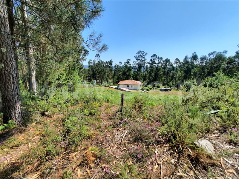 Terreno para Construção  Fafe, Vinhós - 1191364 - 4
