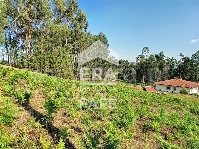 Terreno para Construção  Fafe, Vinhós - 1191364 - 8