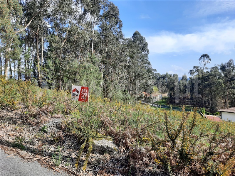 Terreno para Construção  Fafe, Vinhós - 1191364 - 19