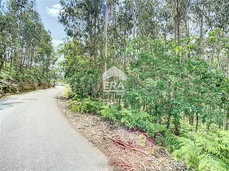 Terreno para Construção / Fafe, Vinhós