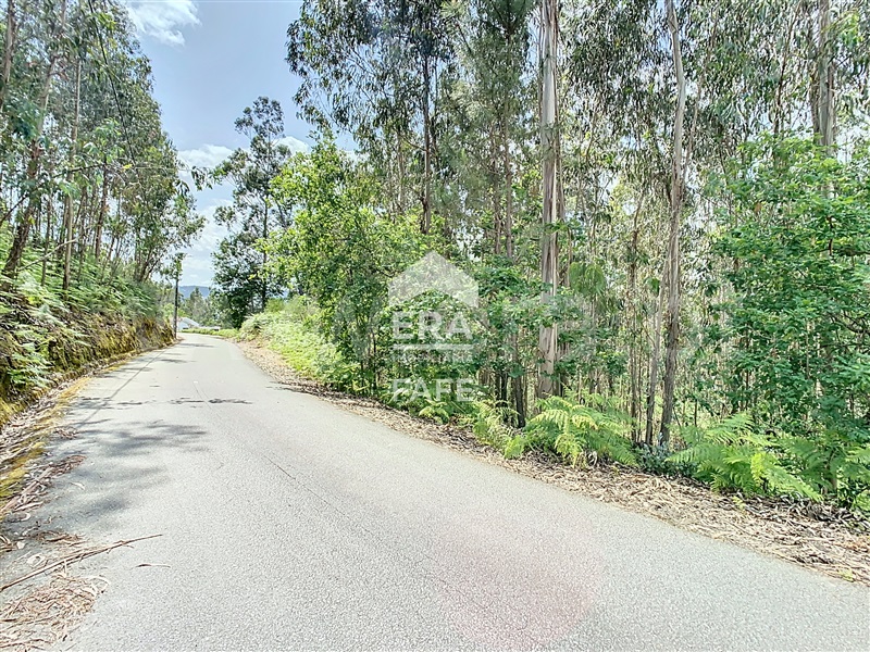 Terreno para Construção  Fafe, Vinhós - 1402304 - 2