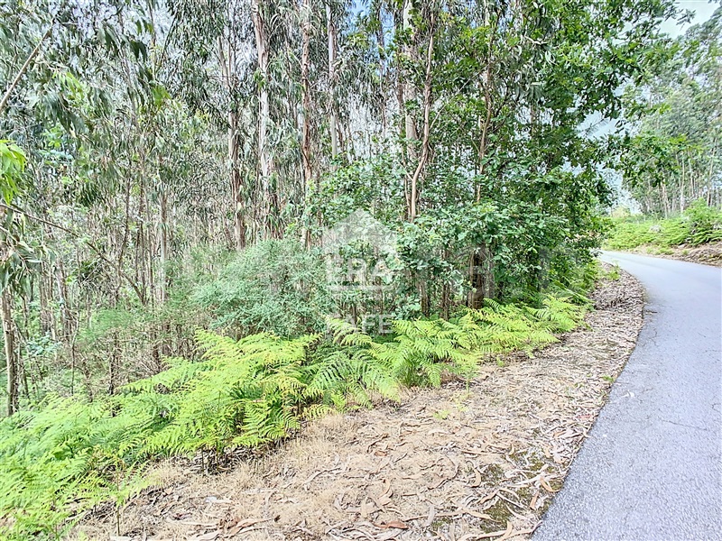 Terreno para Construção  Fafe, Vinhós - 1402304 - 6