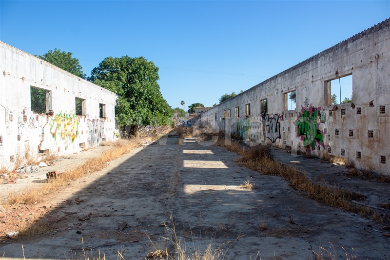 Terreno para Construção / Faro, Falfosa