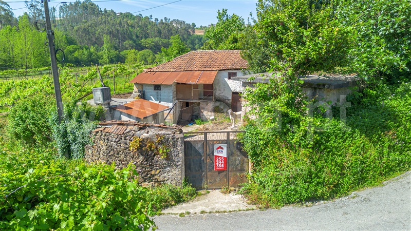 Terreno para Construção  Felgueiras, Macieira da Lixa e Caramos - 1358501 - 14