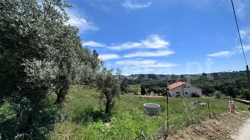 Terreno  com Rústico Ferreira do Zêzere, Águas Belas - 1336239 - 3