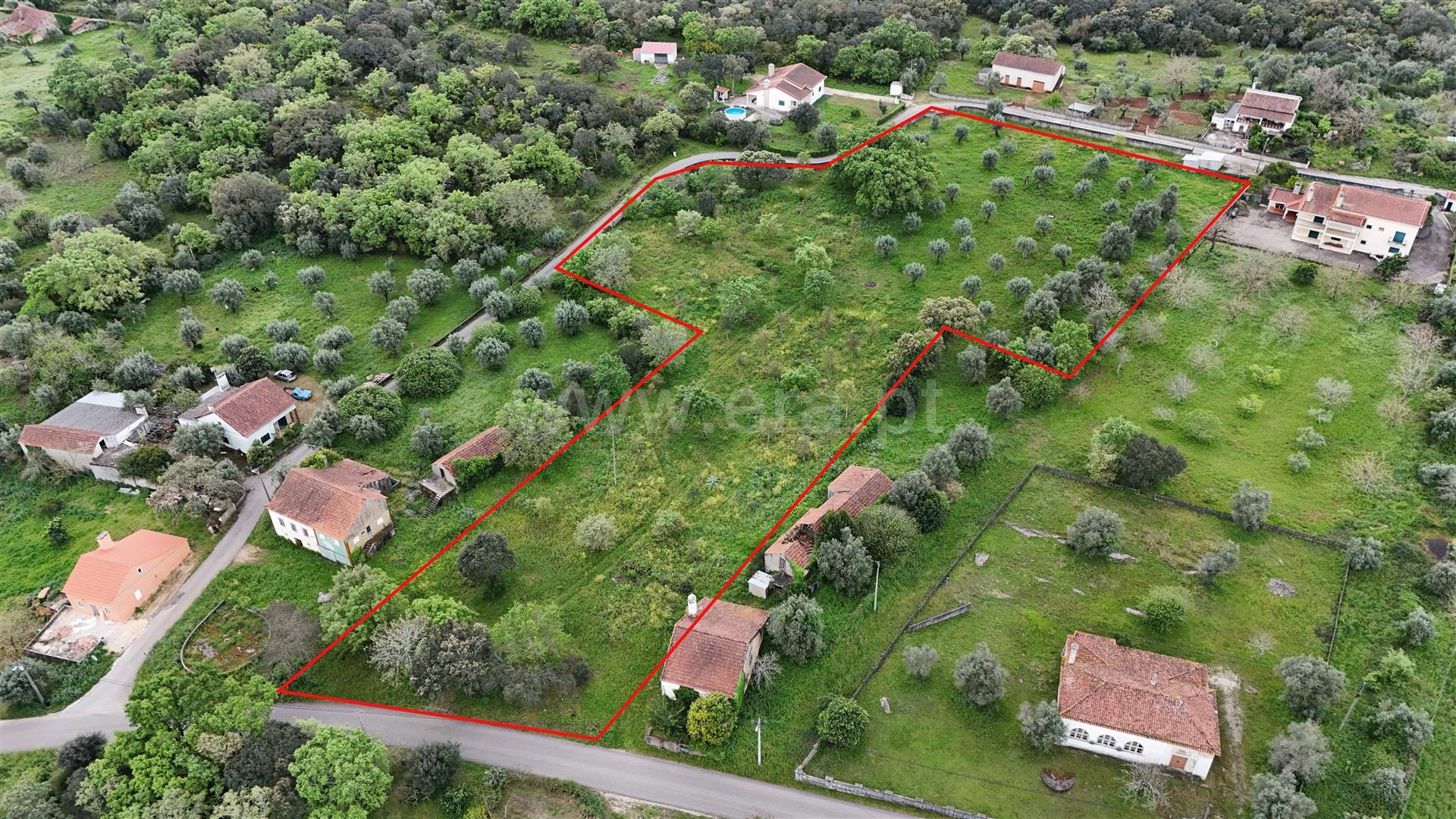 Land for sale in Ferreira do Zêzere, Portugal — €68,000