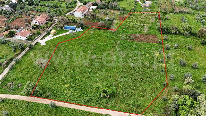 Terreno para Construção / Ferreira do Zêzere, FERREIRA DO ZEZÊRE