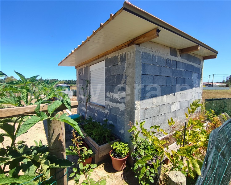 Terreno para Construção  Figueira da Foz, Alhadas - 1496110 - 4