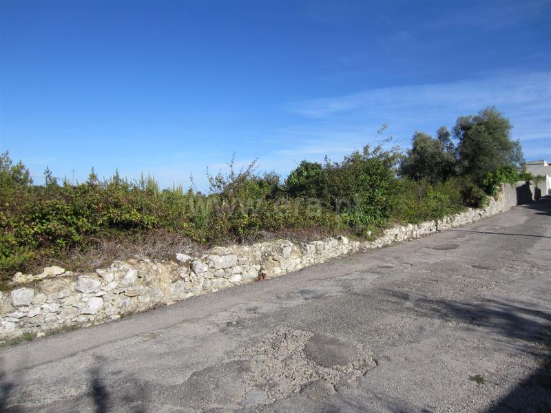 Terreno para Construção / Figueira da Foz, Alhadas