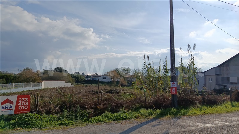 Terreno para Construção / Figueira da Foz, Ferreira-a-Nova