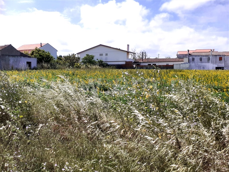 Terreno para Construção  Figueira da Foz, Lavos - 1249484 - 2