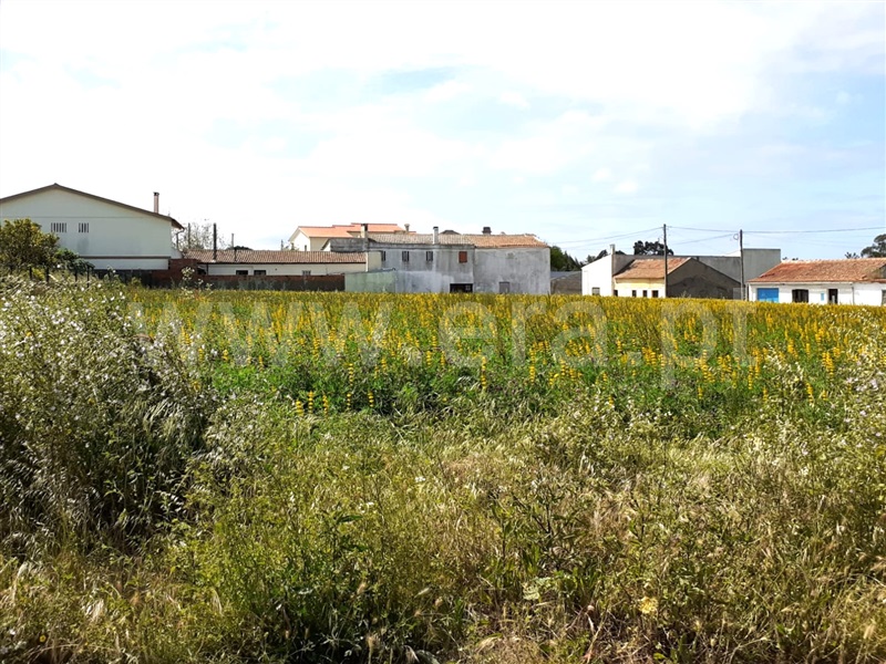 Terreno para Construção  Figueira da Foz, Lavos - 1249484 - 5