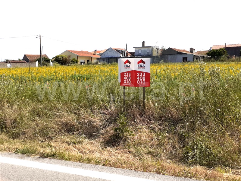 Terreno para Construção  Figueira da Foz, Lavos - 1249484 - 6