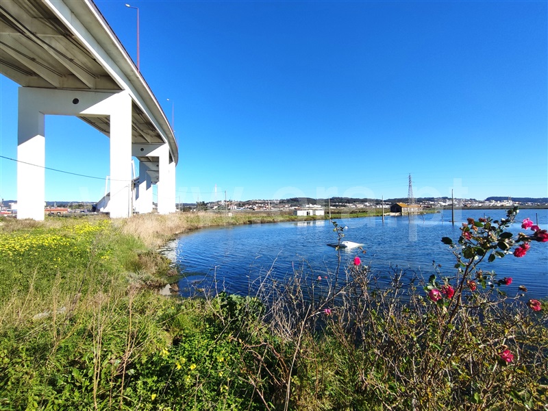 Terreno para Construção  Figueira da Foz, Morraceira - 1299720 - 8