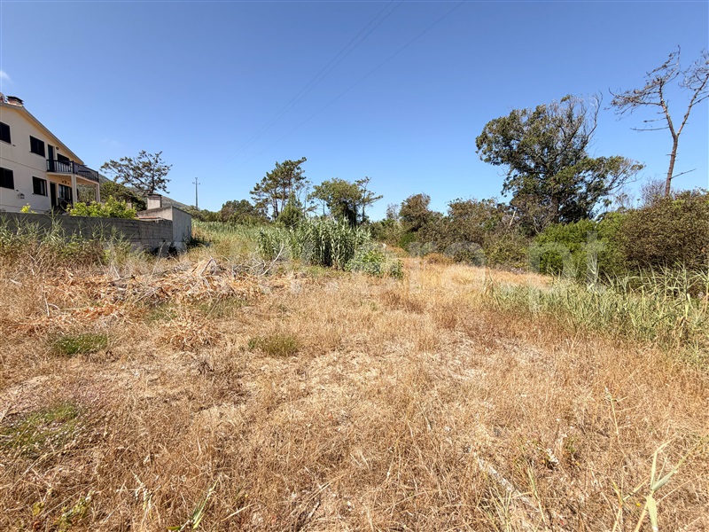Terreno para Construção / Figueira da Foz, Murtinheira