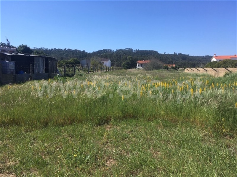 Terreno para Construção / Figueira da Foz, Quiaios