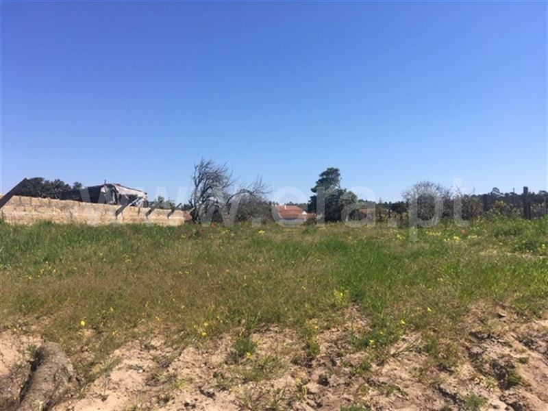 Terreno para Construção  Figueira da Foz, Quiaios - 996403 - 2