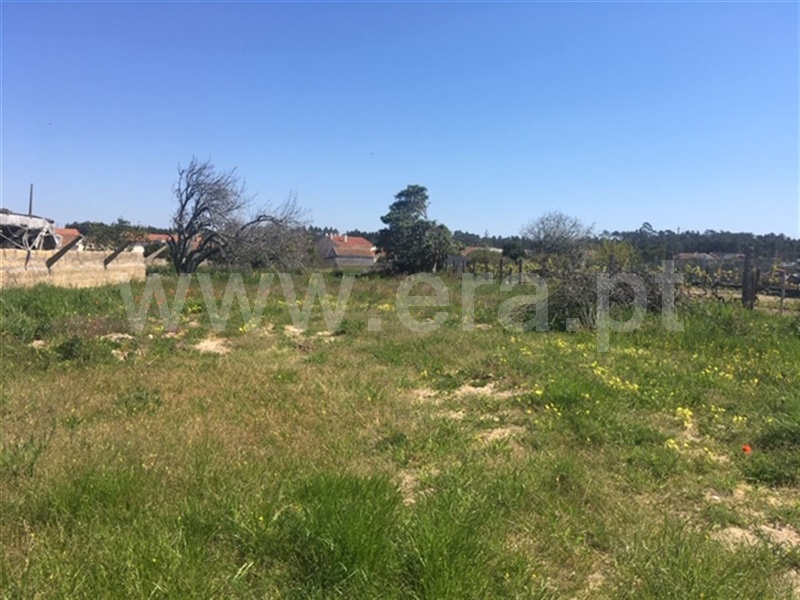 Terreno para Construção  Figueira da Foz, Quiaios - 996403 - 3